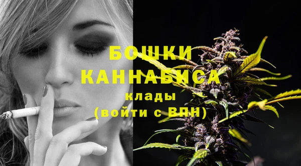 молекула духа Гусев
