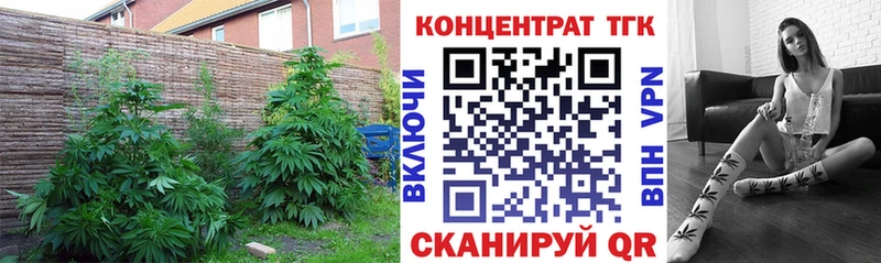 ТГК концентрат  как найти закладки  Южно-Сухокумск 
