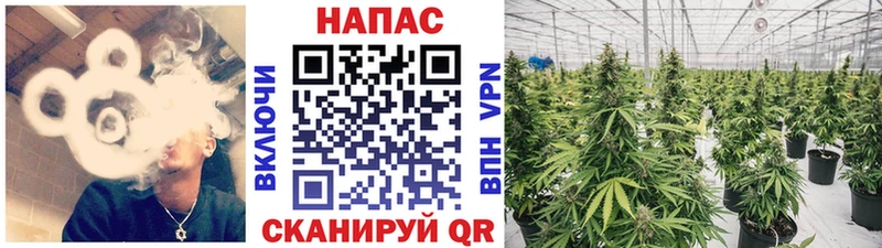 KRAKEN ССЫЛКА  Южно-Сухокумск  Каннабис SATIVA & INDICA  где найти наркотики 